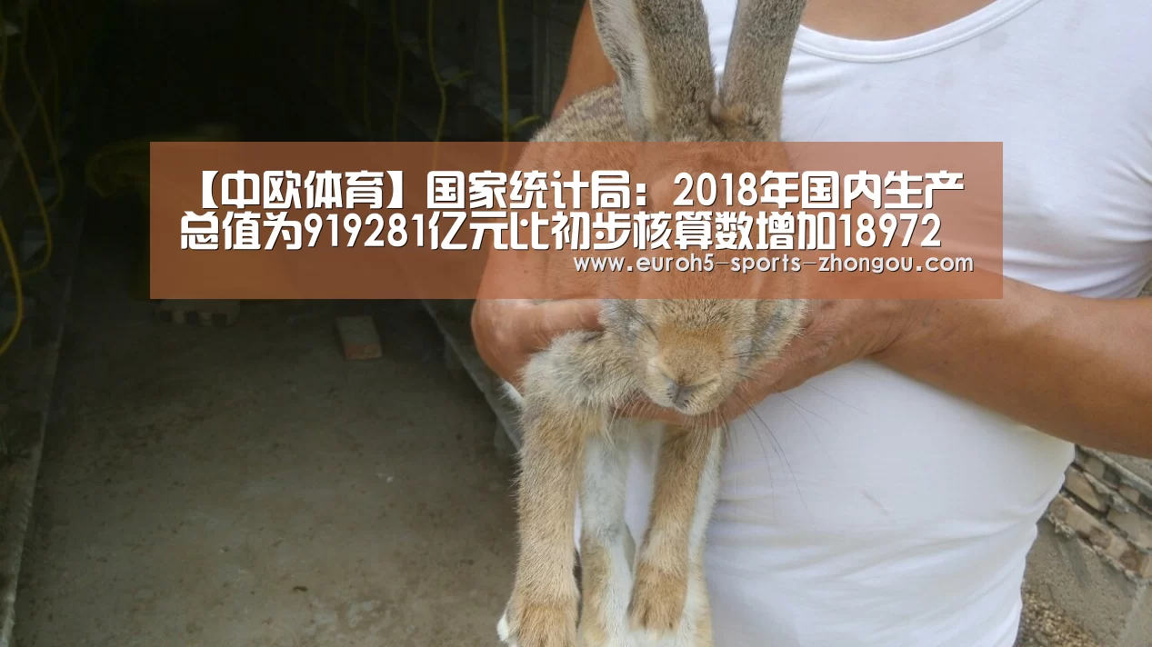 中欧体育官网