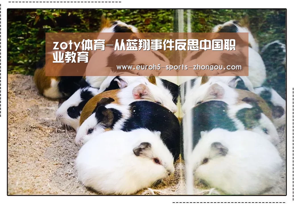 zoty体育