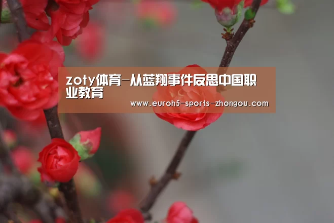 中欧体育