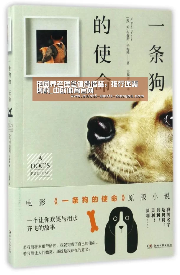 中欧体育平台