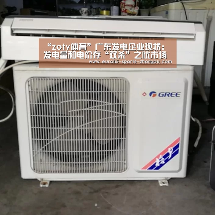 “zoty体育”广东发电企业现状：发电量和电价存“双杀”之忧