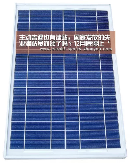 中欧体育